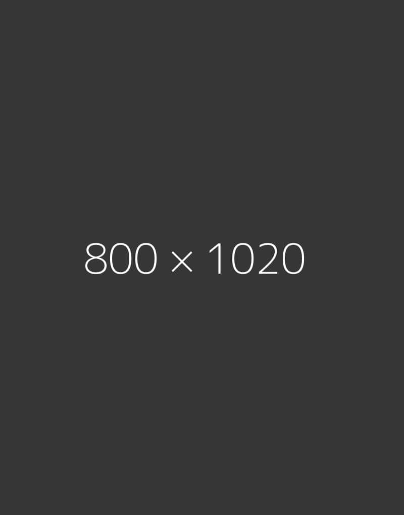 hongo 800x1020-d-ph